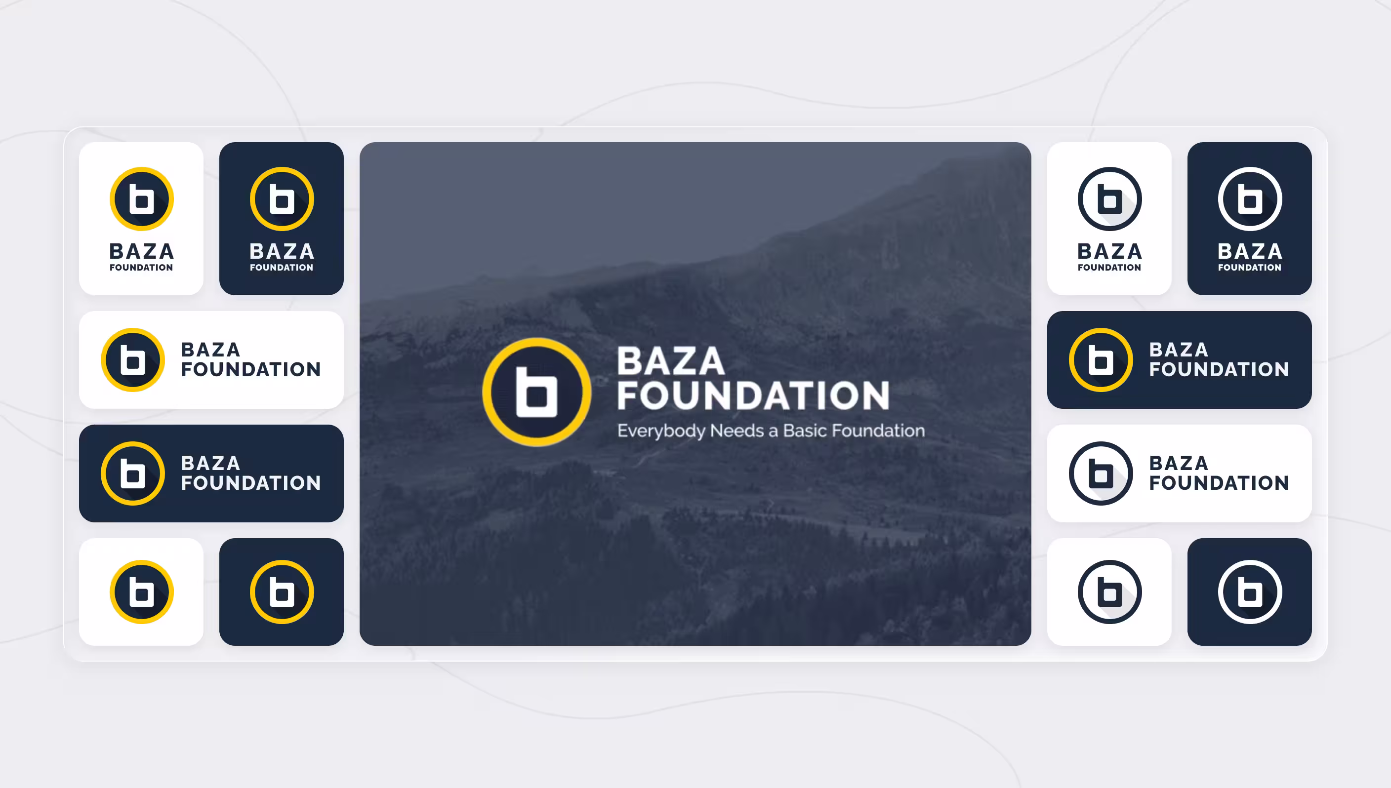 Baza Foundation brand overview